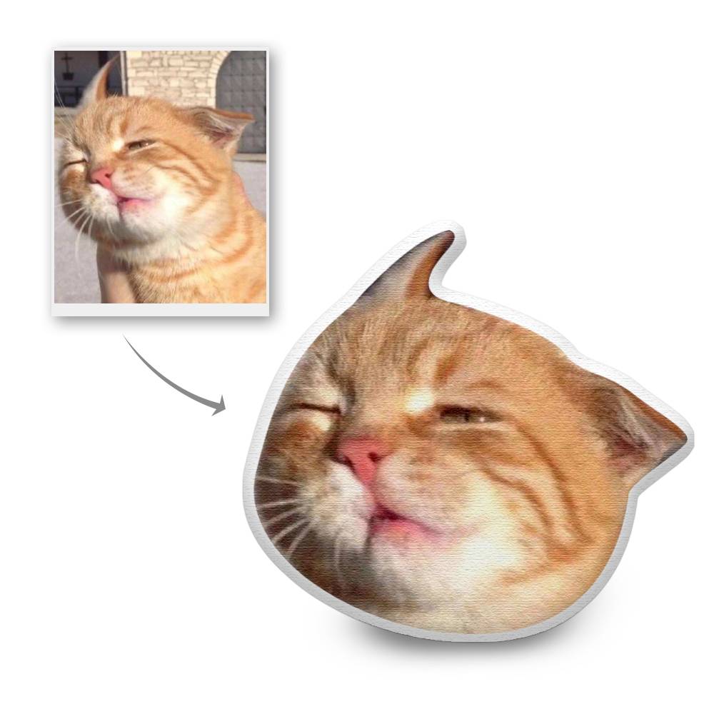3D Portrait Pillow – Turn Your Photo into a Funny Face Pillow